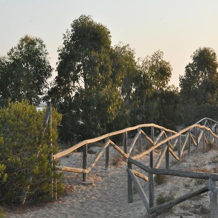 Residencial El Pinet Beach La Marina Luaran gambar