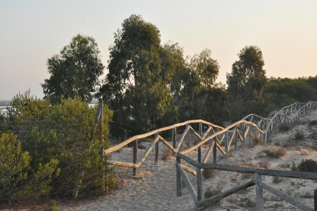 Residencial El Pinet Beach La Marina Luaran gambar